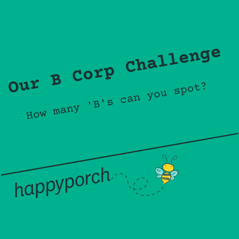 Our B Corp Challenge 800Px Compressed