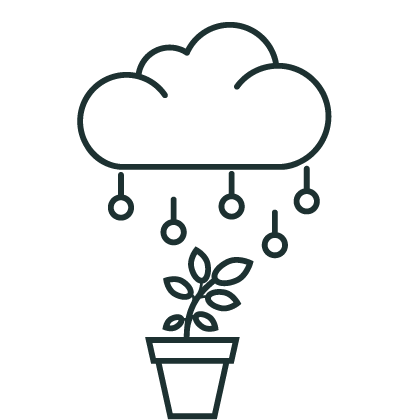 A plant being nourished with code