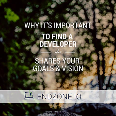 Developer Goals And Vision