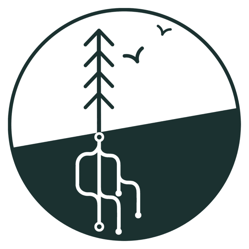Illustration of roots and a tree