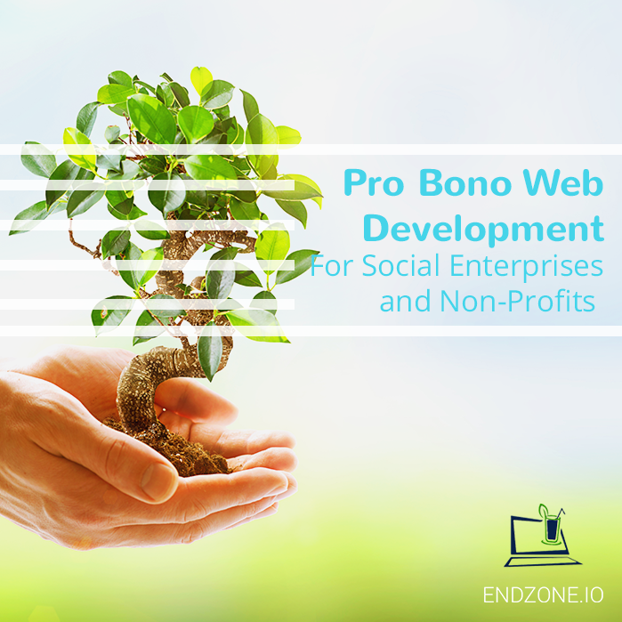 Pro Bono Web Development Social Enterprises Non Profits